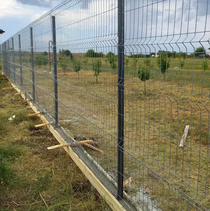 3D táblás kerítés betonozott lábazattal, a zsaluzat még a helyén, ültetvény mellett
